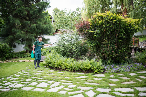 Best Exterminator Services  in Bayou Vista, LA