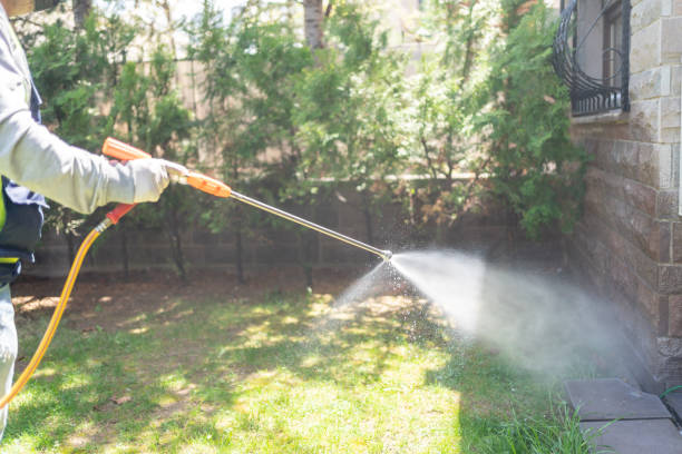 Best Emergency Pest Control  in Bayou Vista, LA