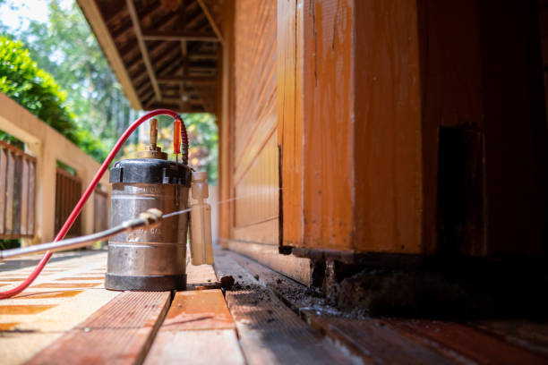Pest Prevention Services in Bayou Vista, LA